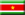 Suriname, Masters, International Business Trade