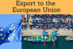 Online Education (Courses, Masters, Doctorate): Export to the EU