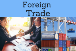 Foreign Trade (Importing, Exporting) Online Education (Courses, Masters, Doctorate)