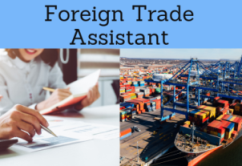 Online Education (Courses, Masters, Doctorate): Foreign Trade Assistant