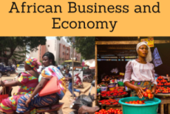African Business and Economy